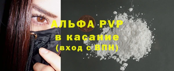 СК Зерноград