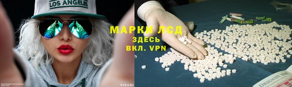 каннабис Инта