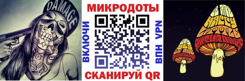 Купить  Очёр  Галлюциногенные грибы прущие грибы 